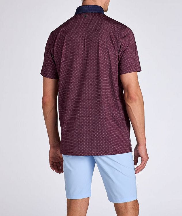 Dotted Technical-Stretch Polo  picture 3